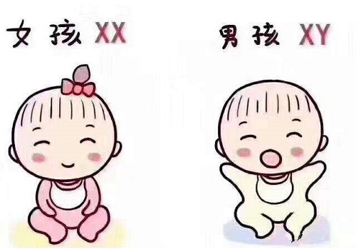 绍兴哪里可以做三代试管？多少钱？