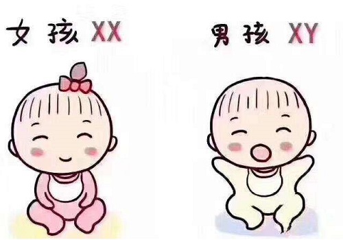 泰国试管婴儿优势是什么？四个点！