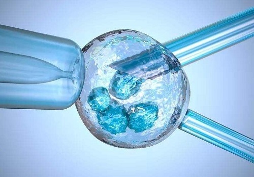 泰国试管技术怎么补救卵巢早衰