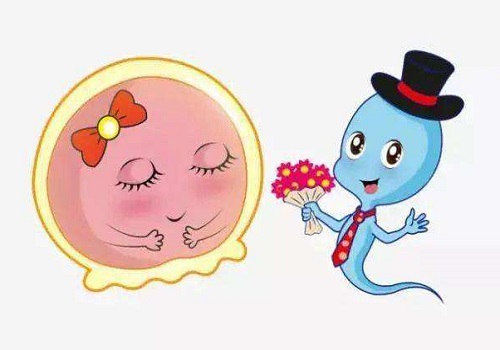 试管婴儿体外受精需多久？时间越长越好吗？
