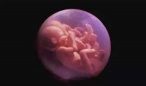 试管婴儿促排卵阶段要注意的事项有哪些