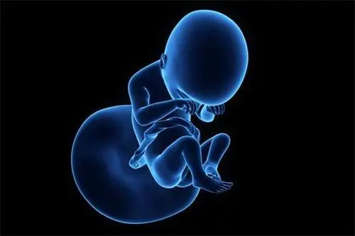 使用三代试管婴儿检测对胚胎有影响吗？