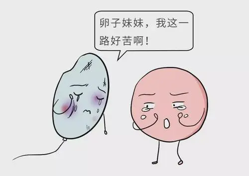 试管前检查哪些项目？做B超检查的作用是什么？
