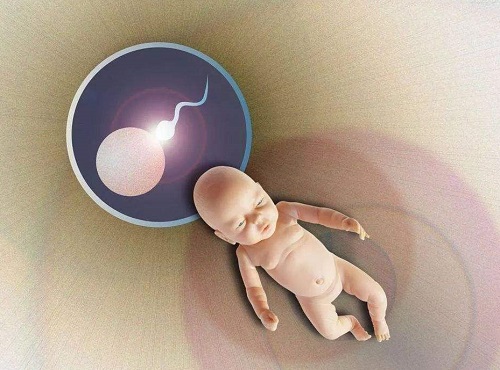 卵泡发育不良导致不孕 美国试管婴儿为您支招解疑
