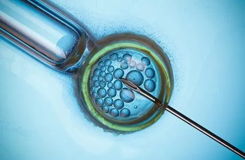 试管婴儿三代胚胎筛查结果报告怎么看？