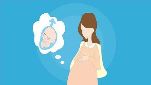 泰国试管期间｜试管婴儿移植前注意什么？