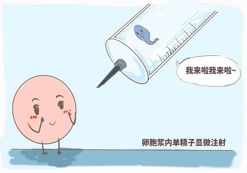 专家解惑：卵子质量不好要做美国第几代试管婴儿？