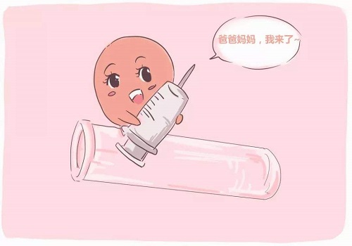 试管婴儿剩余的胚胎的处理流程是什么