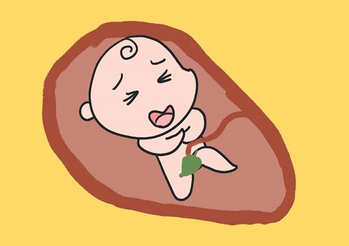 人工授精与试管婴儿之间的区别有哪些？