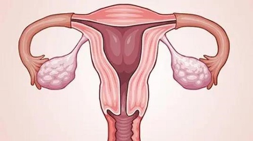 试管婴儿“第几代”该如何选择？到底有哪些区别？