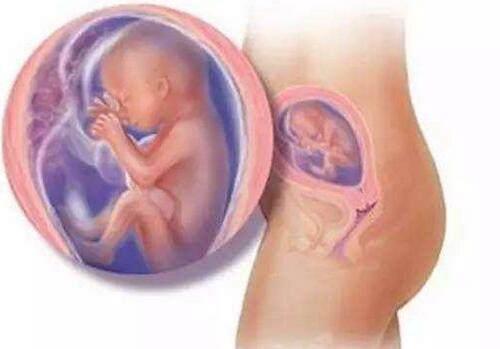试管婴儿剩余的胚胎的处理流程是什么
