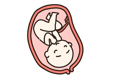 试管婴儿医院成功率有多少