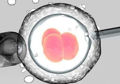 泰国试管技术之冷冻胚胎保存的优势体现在哪里？