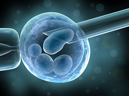 试管婴儿移植后一周胚胎着床了吗？有什么反应？