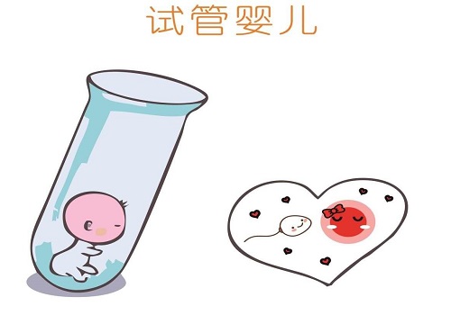 试管婴儿不成功的原因主要是医院还是患者？