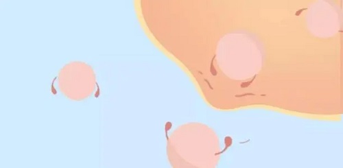 试管婴儿需要什么条件？这几点尤其重要！
