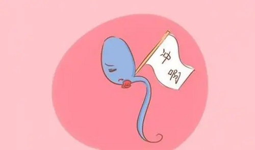 精子畸形可以直接做第三代试管婴儿吗？