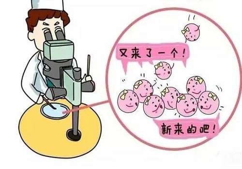 何时去美国做试管婴儿成功率最高？