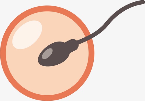 试管婴儿胚胎冷冻期间胚胎质量会变差吗？