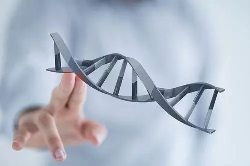赴泰试管做能否安全实现