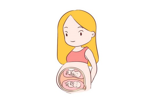中山试管婴儿促排前怎么提高卵子质量？